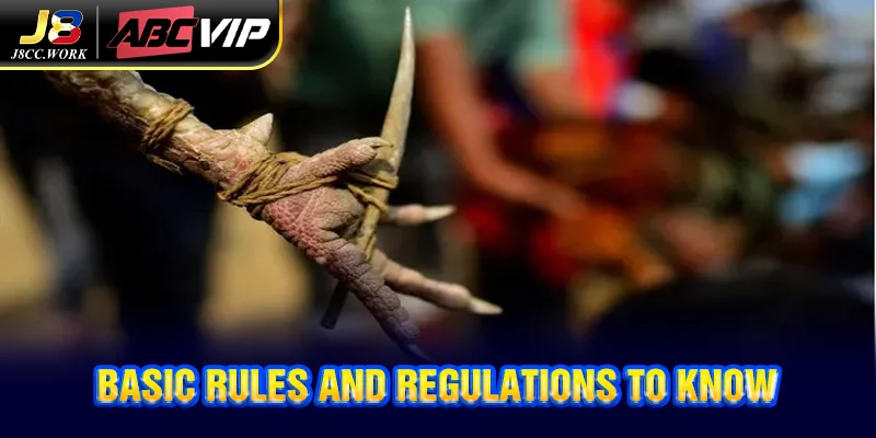 Cockfighting with Iron Spurs J8 - Exciting Experience 5 Basic rules and regulations to know