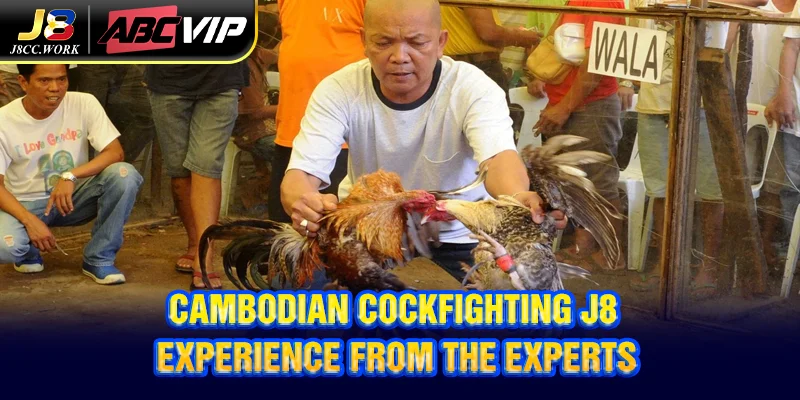 Cambodian Cockfighting J8 - Experience from the experts 2 Cambodian Cockfighting J8 - Experience from the experts
