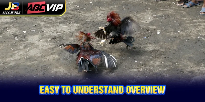 Cambodian Cockfighting J8 - Experience from the experts 3 Easy to understand overview