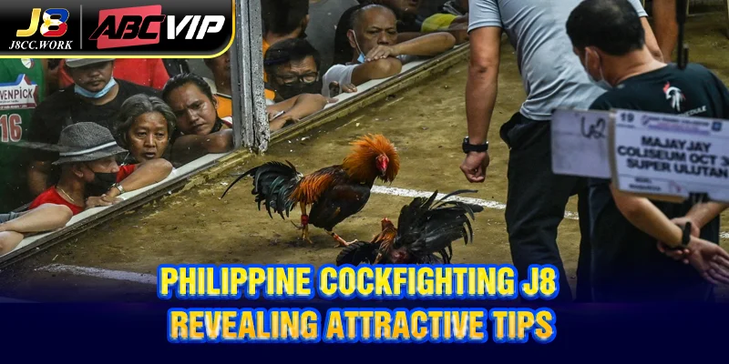 Philippine Cockfighting J8 - Revealing Attractive Tips 2 Philippine Cockfighting J8 - Revealing Attractive Tips