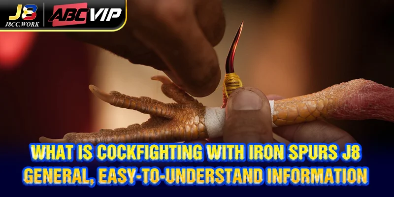 Cockfighting with Iron Spurs J8 - Exciting Experience 3 What is Cockfighting with Iron Spurs J8 - General, easy-to-understand information